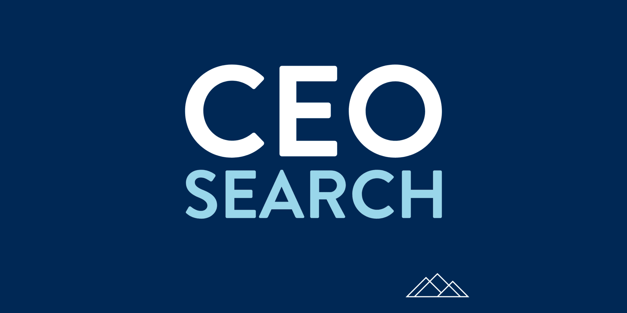 A designed image that says, "CEO SEARCH."